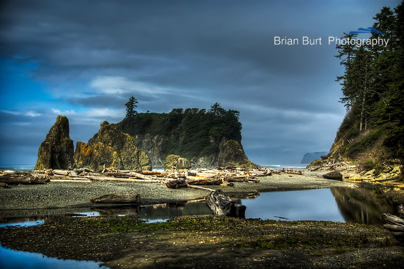 Ruby Beach Reflections