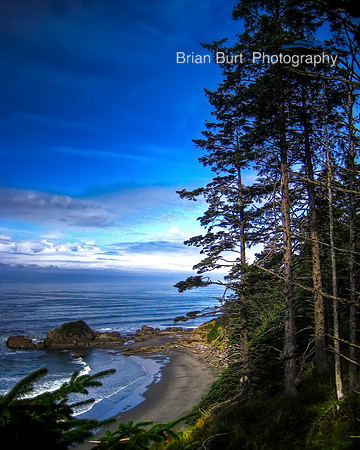 Beach 4, Olympic National Park