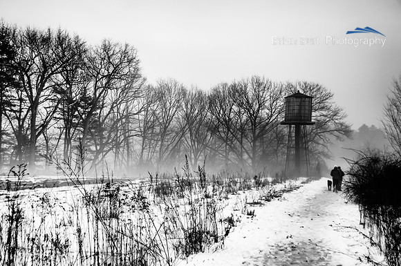 Winter Walkers, Mattison Field