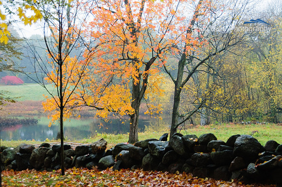 Autumn at the North Bridge