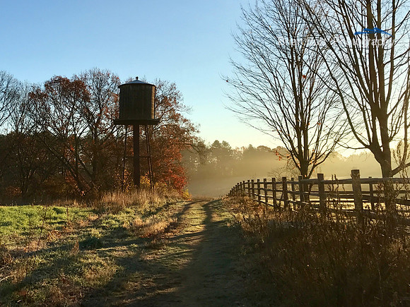 Mattison Field Sunrise