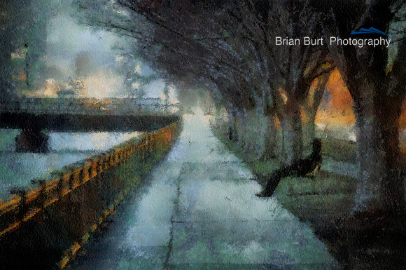 Solitary Man
