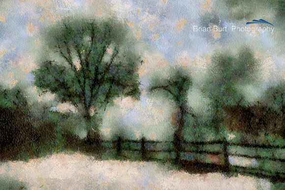 Tree and Fence