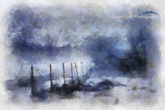 Fog and Fence