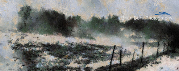 Winter Fenceline