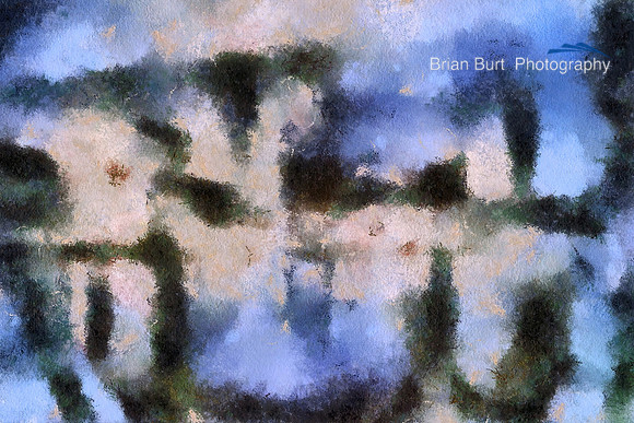 Harbor (1)